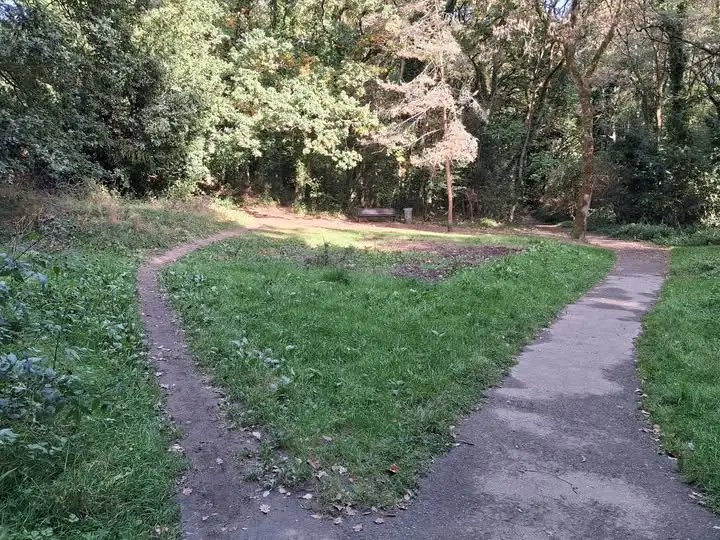 Accompagnement professionnel à Saint-Nazaire