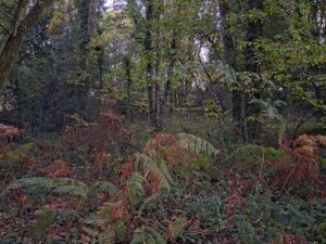 orientation scolaire perdu conseillère orientation saint nazaire