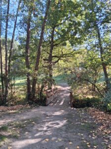 conseillère orientation scolaire saint nazaire)