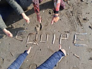 Accompagnement manager et dirigeant cohésion d'équipe atelier land art en équipe sur la plage avec des coquillages